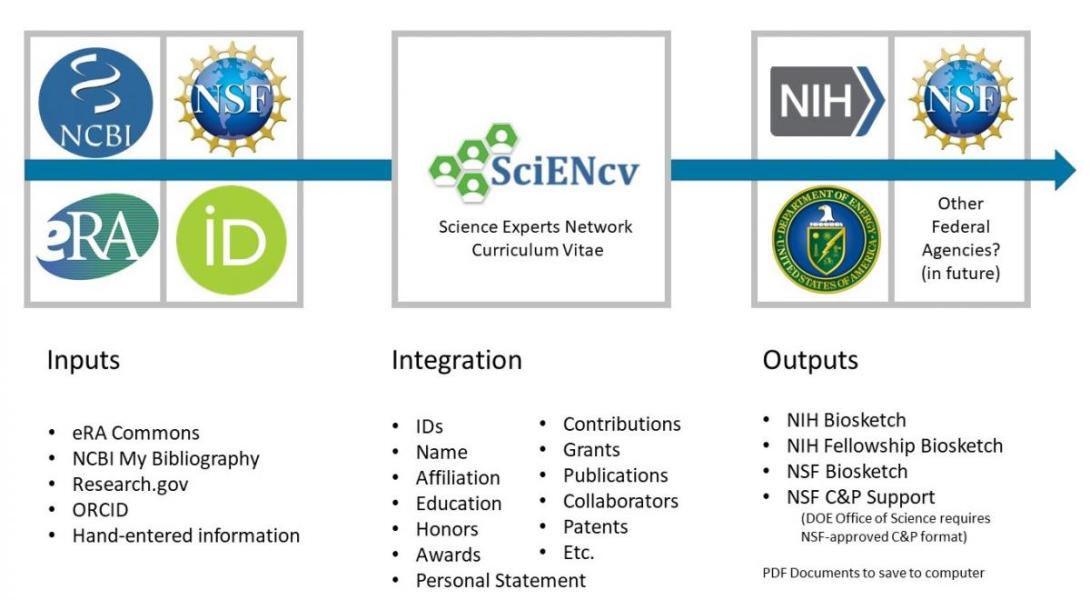 Using SciENcv | MIT Research Administration Services